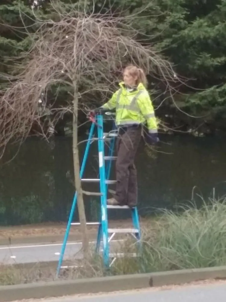 Reliable yard maintenance for residential properties in Woodinville, WA by Bear Creek Home and Yard