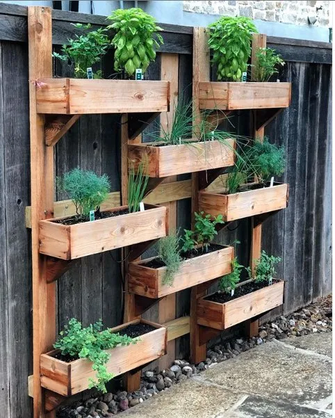 Top-rated yard cleanup service experts serving San Antonio, TX - Bear Creek Landscape