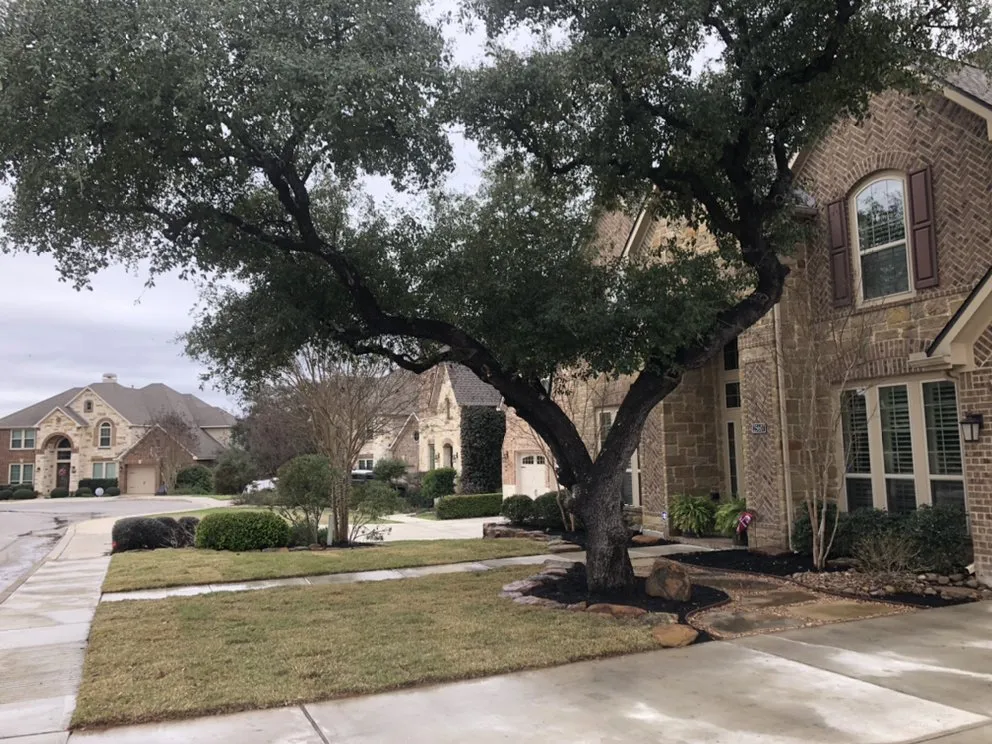 Expert yard cleanup service experts serving San Antonio, TX - Bear Creek Landscape