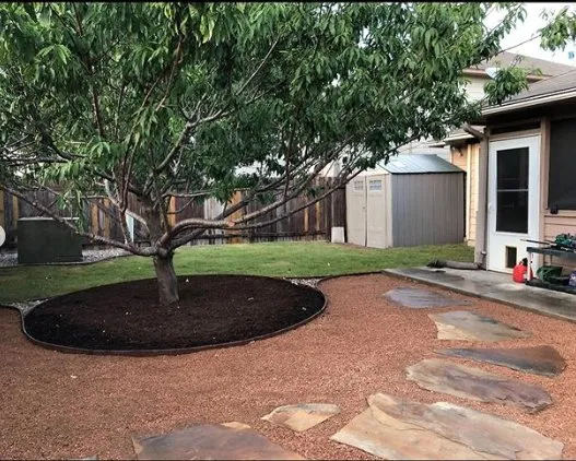 Expert yard cleanup service for residential properties across San Antonio, TX - Bear Creek Landscape