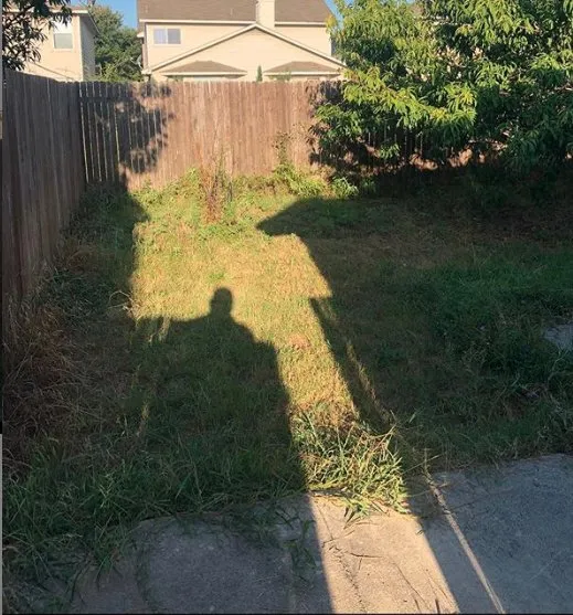 Trusted yard cleanup service for outdoor upgrades across San Antonio, TX - Bear Creek Landscape