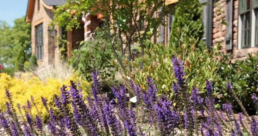 Top-rated lawn mowing service for residential properties in Columbia, TN by Bear Creek Landscapes & Design