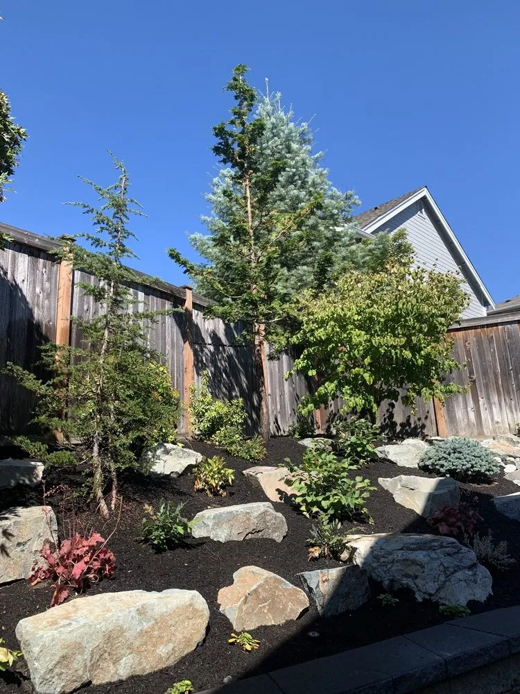 Trusted lawn care service for outdoor upgrades across Redmond, WA - Bear Creek Landscaping & Construction
