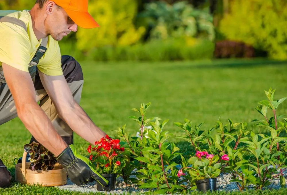 Local landscaping services for residential properties in Redmond, WA by Bear Creek Landscaping & Construction