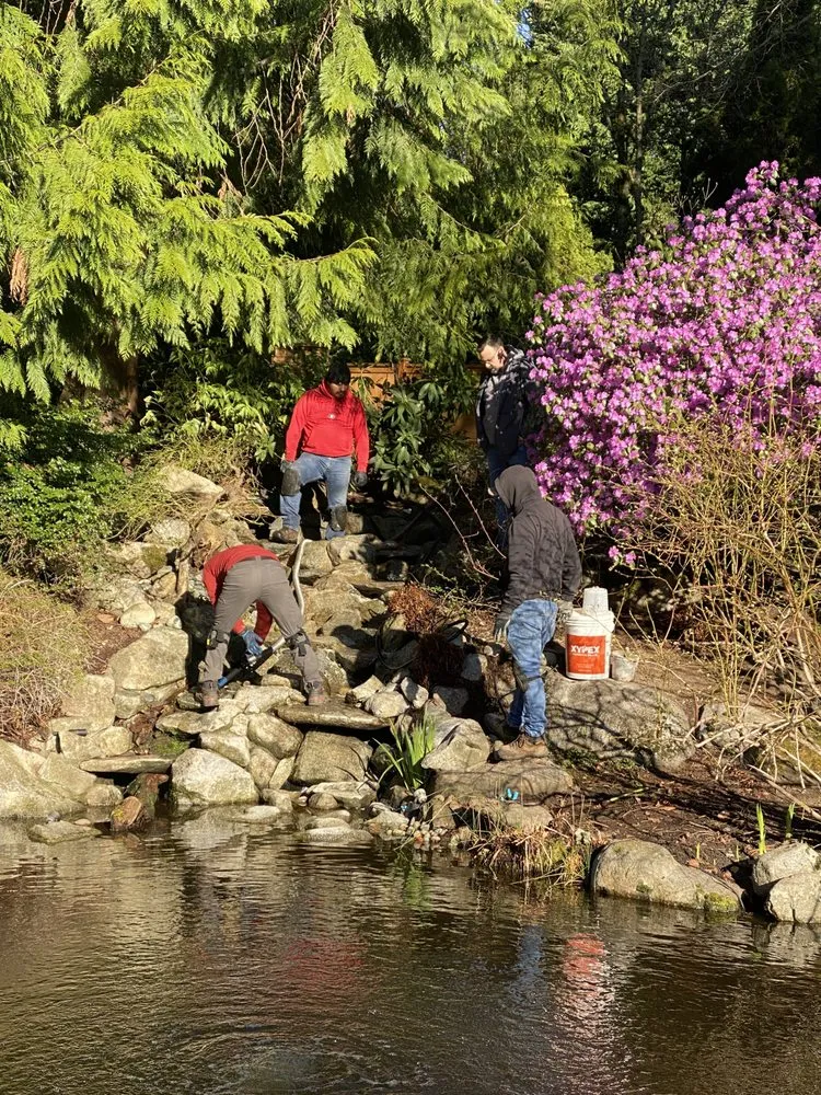 Affordable landscape design for year-round maintenance in Redmond, WA by Bear Creek Landscaping & Construction