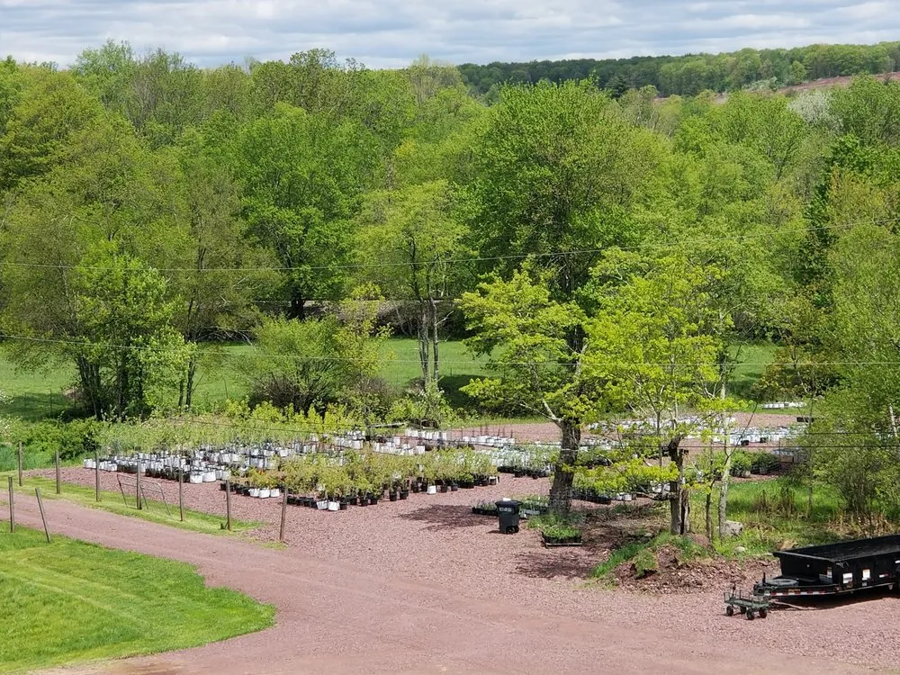 Affordable yard maintenance in White Haven, PA - Bear Creek Organics