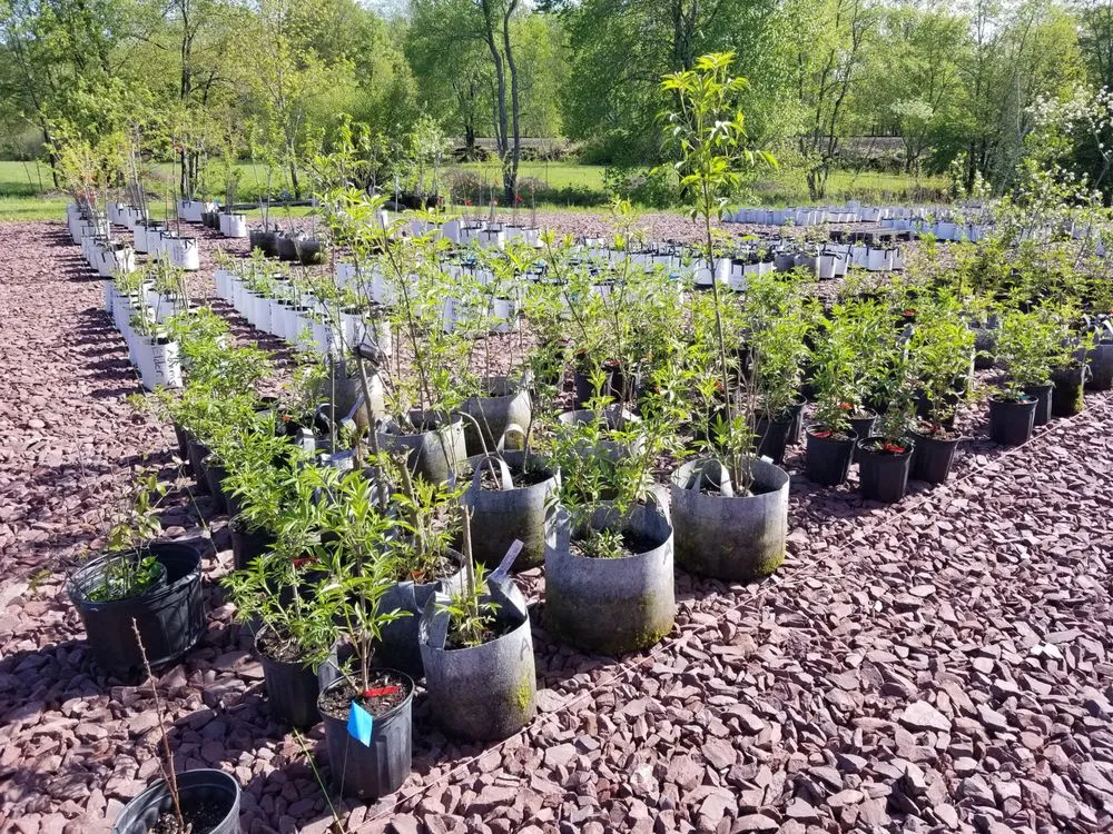 Affordable landscape installation in White Haven, PA - Bear Creek Organics