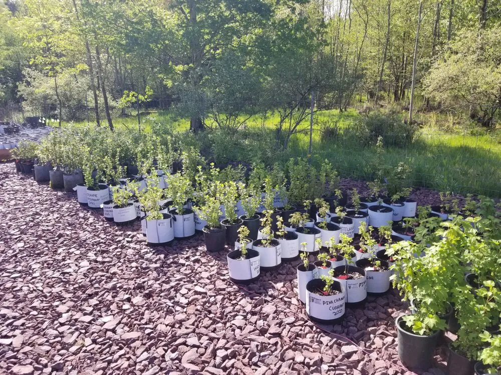 Professional garden landscaping in White Haven, PA by Bear Creek Organics