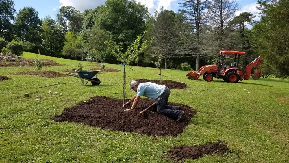 Reliable lawn mowing service for residential properties in White Haven, PA by Bear Creek Organics