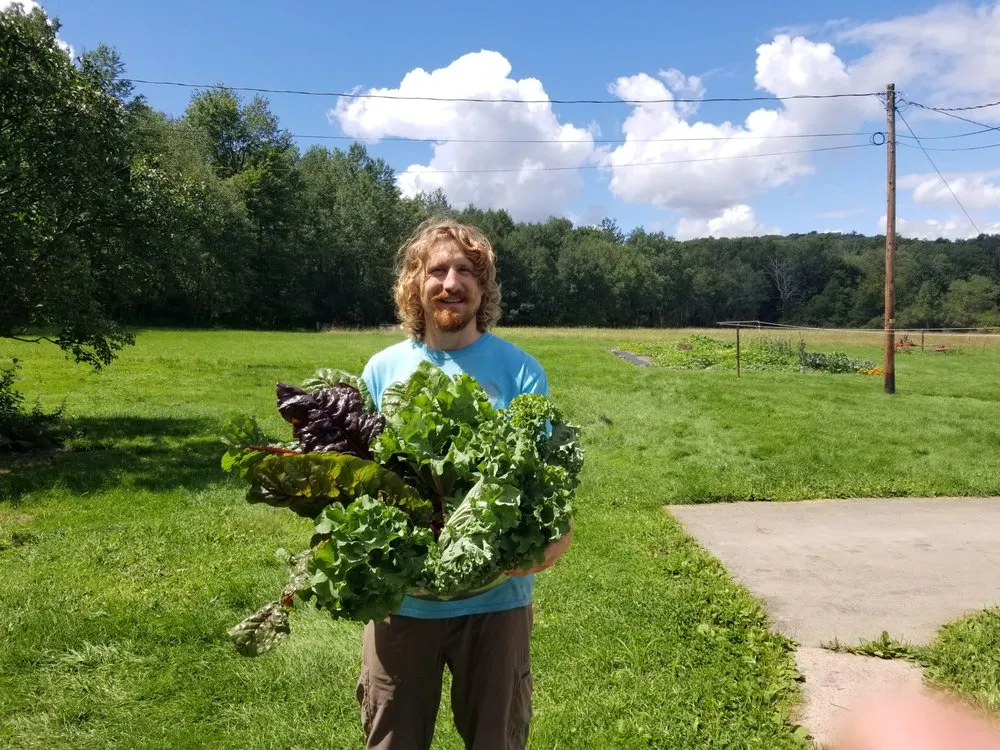 Trusted outdoor landscaping for year-round maintenance in White Haven, PA by Bear Creek Organics