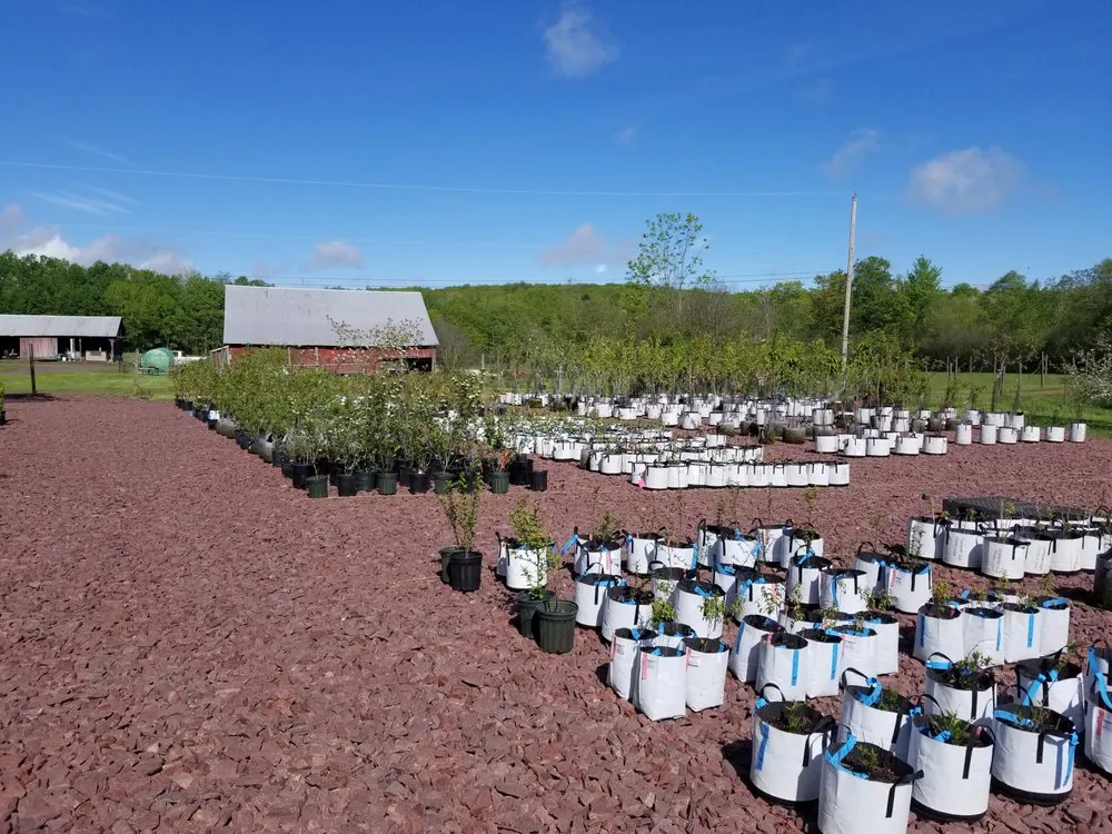 Affordable landscaping services for homes across White Haven, PA - Bear Creek Organics