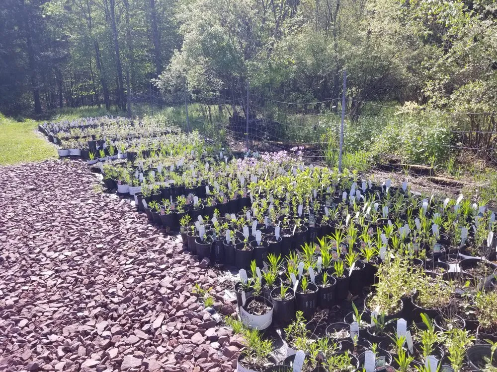 Expert residential landscaping experts serving White Haven, PA - Bear Creek Organics