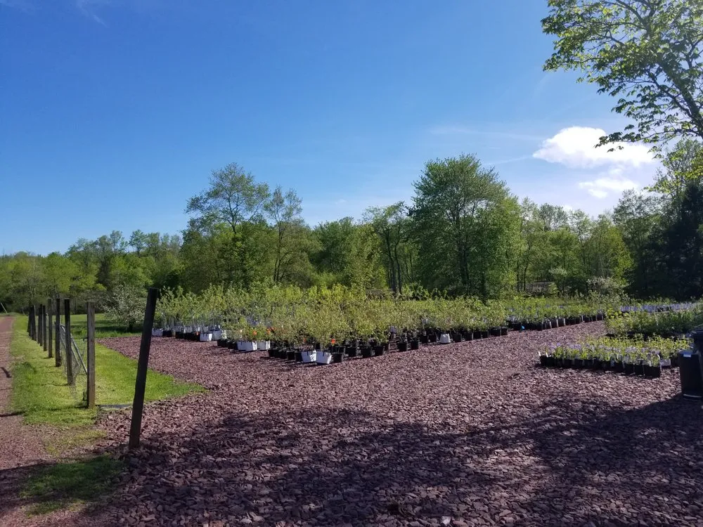 Reliable outdoor landscaping for residential properties across White Haven, PA - Bear Creek Organics