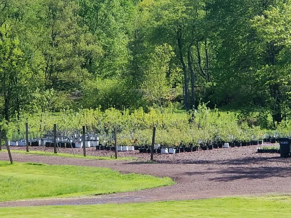 Trusted outdoor landscaping in White Haven, PA - Bear Creek Organics