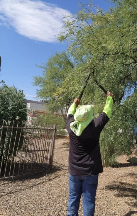 Top-rated lawn care service with custom design across Tucson, AZ - Bear Down Landscaping