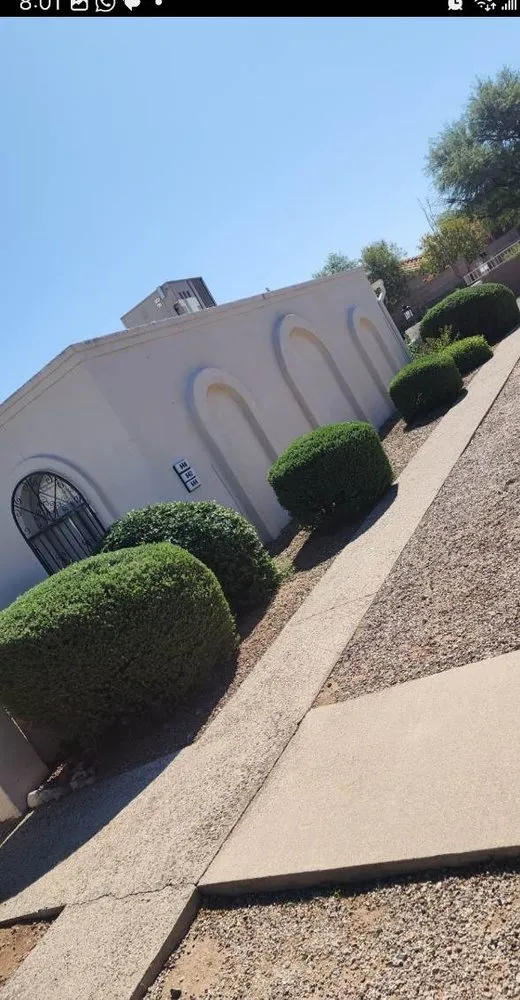 Trusted outdoor landscaping in Tucson, AZ - Bear Down Landscaping