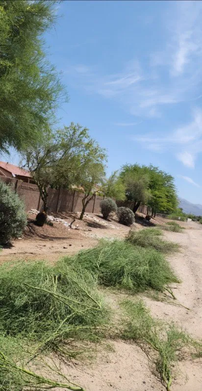 Local lawn mowing service in Tucson, AZ - Bear Down Landscaping
