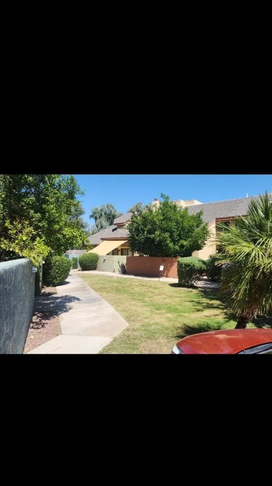 Local outdoor landscaping for beautiful yards across Tucson, AZ - Bear Down Landscaping