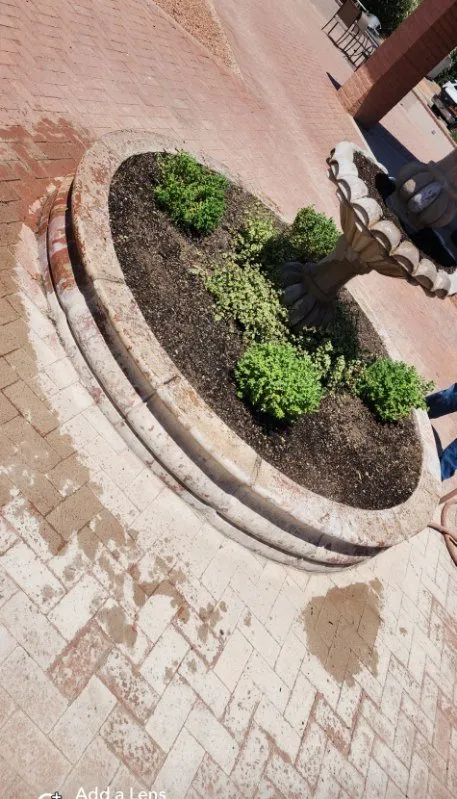 Affordable lawn care service in Tucson, AZ by Bear Down Landscaping