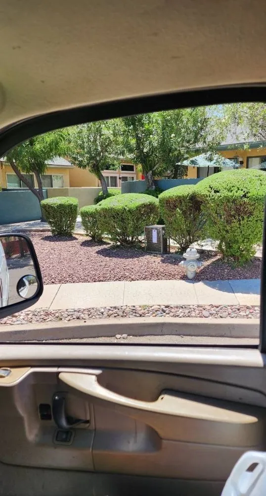 Expert residential landscaping experts serving Tucson, AZ - Bear Down Landscaping