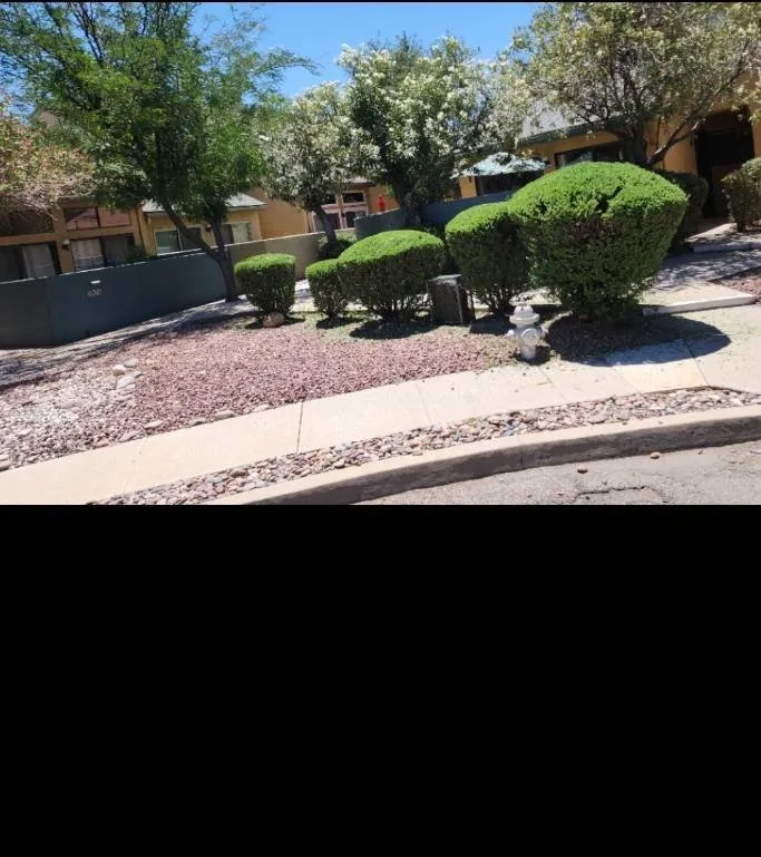 Local yard cleanup service near you across Tucson, AZ - Bear Down Landscaping