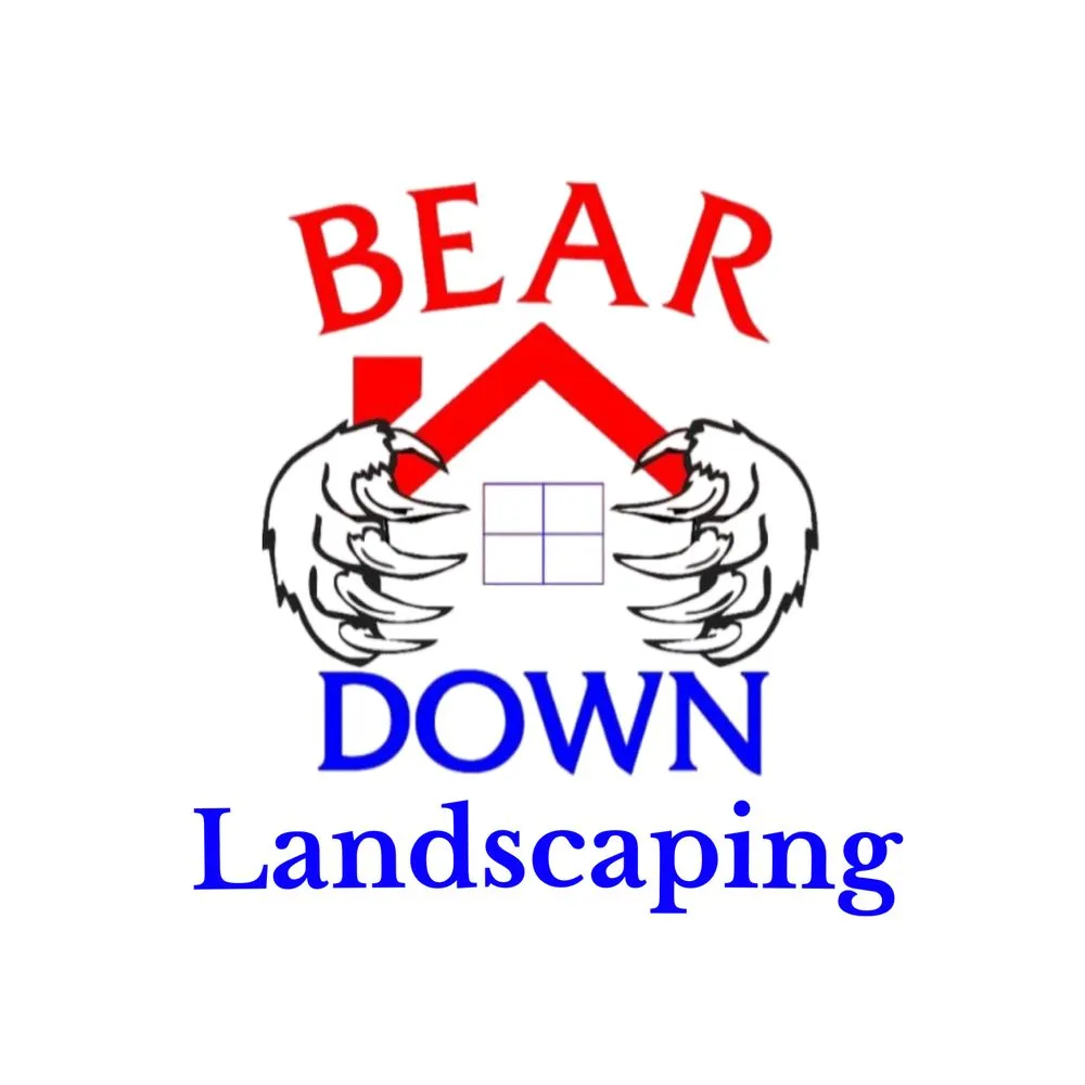 Top-rated landscape installation for year-round maintenance in Tucson, AZ by Bear Down Landscaping