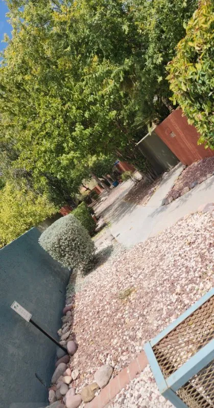 Trusted landscape installation for residential properties in Tucson, AZ by Bear Down Landscaping