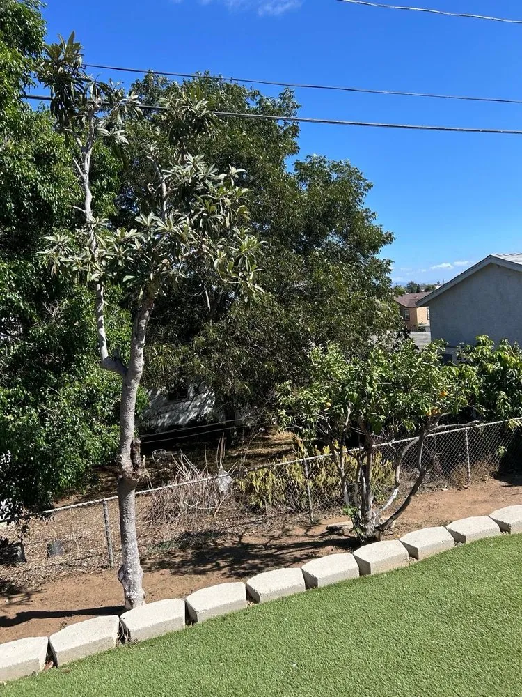 Custom outdoor landscaping in San Diego, CA - Bear Hardscaping