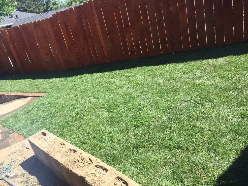 Expert lawn care service experts serving San Lorenzo, CA - Bear Landscape & Concrete