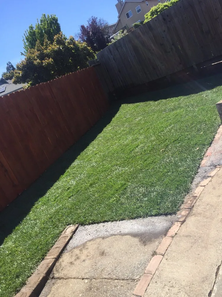 Local landscape design experts serving San Lorenzo, CA - Bear Landscape & Concrete