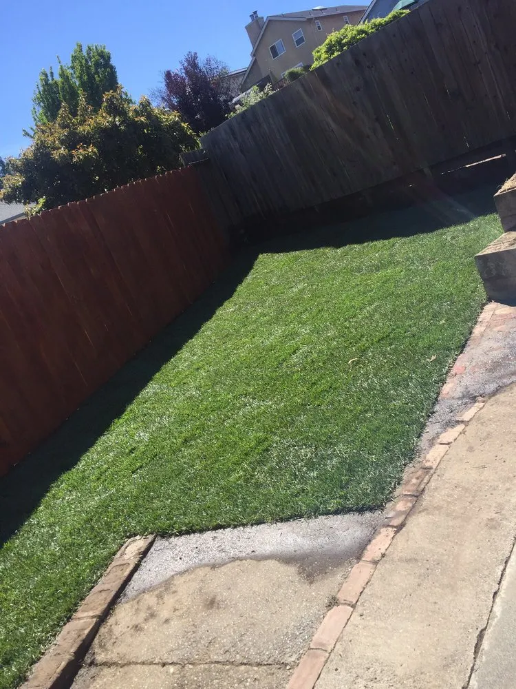 Expert residential landscaping for year-round maintenance in San Lorenzo, CA by Bear Landscape & Concrete