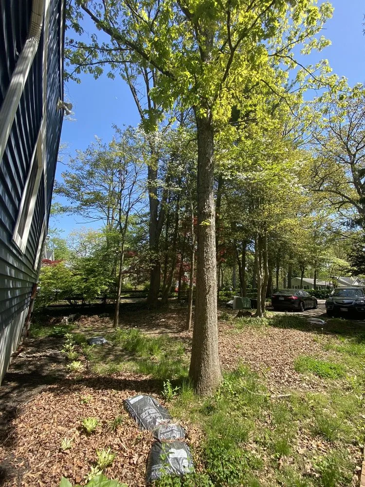 Custom residential landscaping in Millersville, MD - Bear Landscaping, Inc.