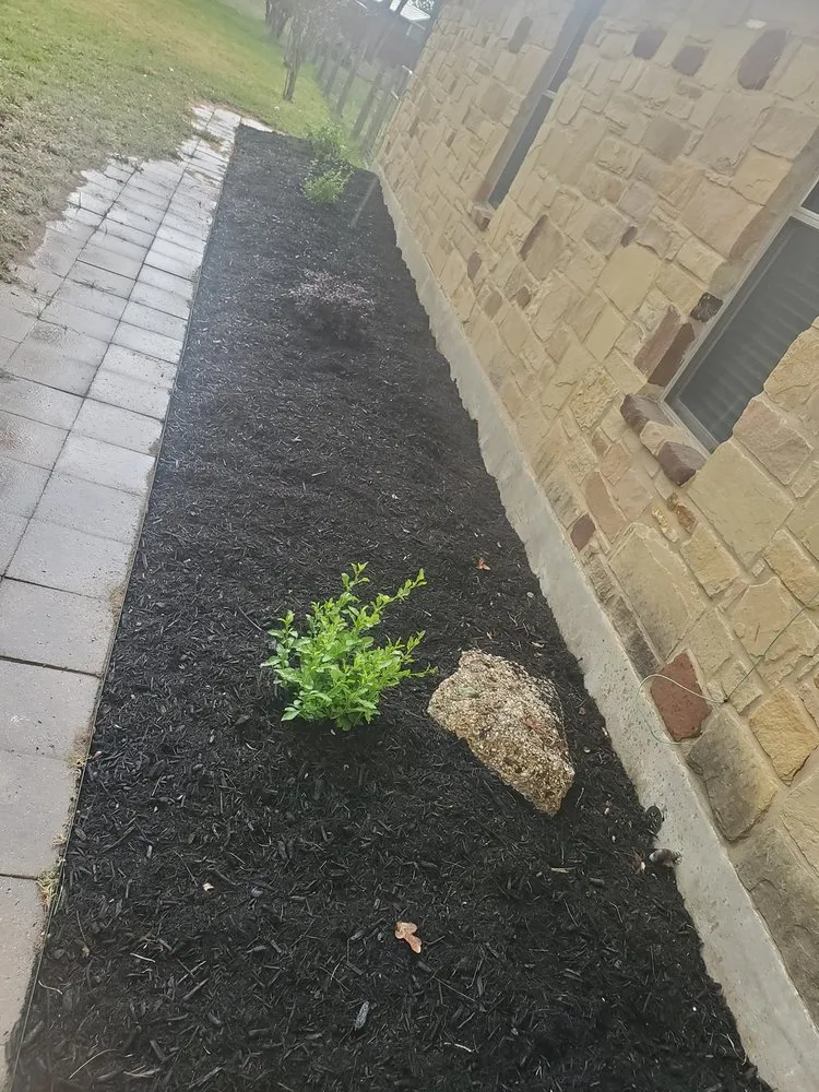 Professional outdoor landscaping in Stockdale, TX - Bear Landscaping