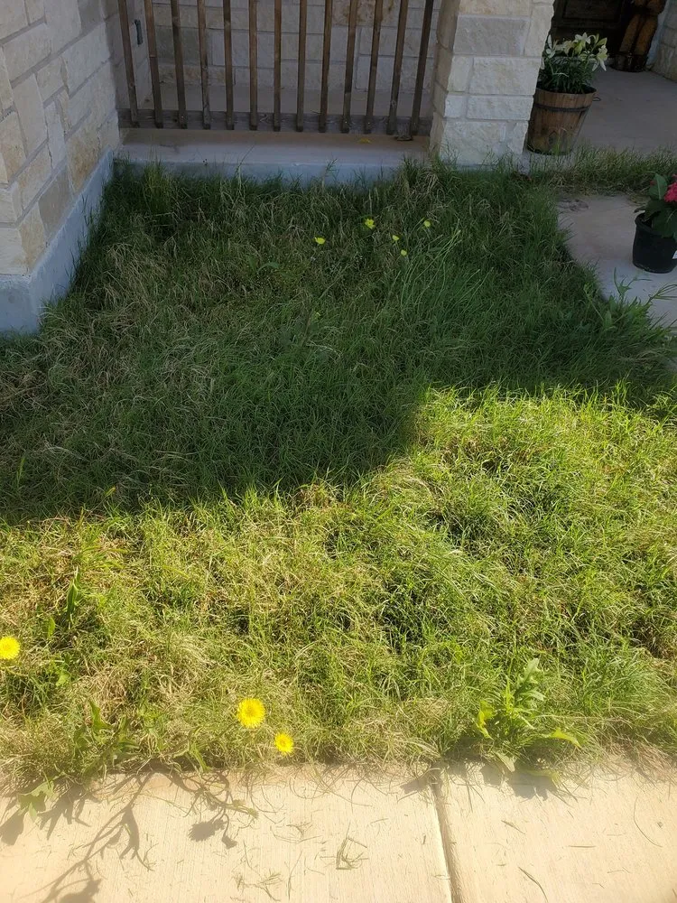 Local yard cleanup service for beautiful yards in Stockdale, TX by Bear Landscaping