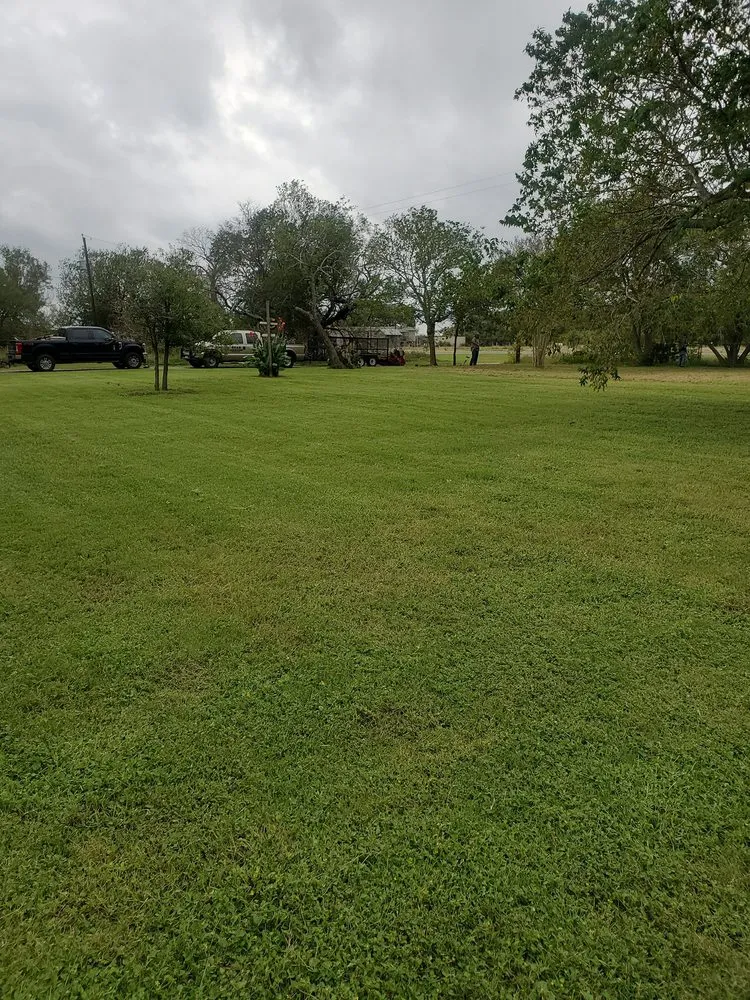 Local landscaping services in Stockdale, TX by Bear Landscaping