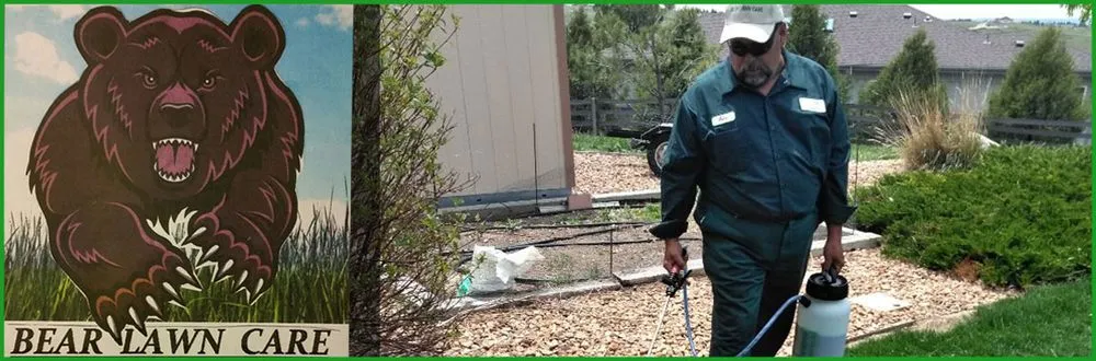 Affordable lawn mowing service for residential properties across Morrison, CO - Bear Lawn Care