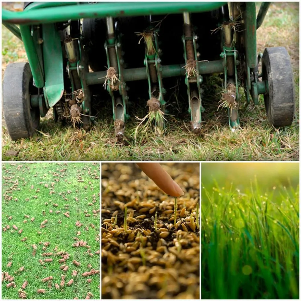 Local lawn mowing service in Morrison, CO by Bear Lawn Care