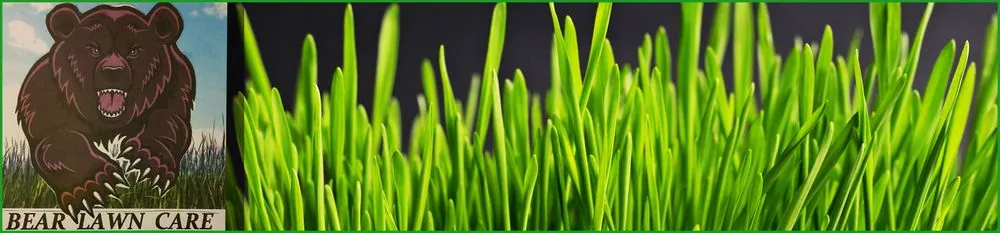 Custom lawn care service for outdoor upgrades in Morrison, CO by Bear Lawn Care