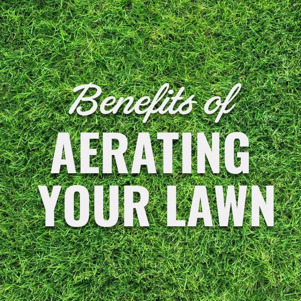 Trusted residential landscaping experts serving Morrison, CO - Bear Lawn Care