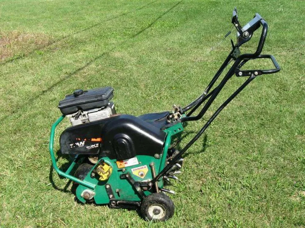 Reliable landscaping services in Morrison, CO by Bear Lawn Care