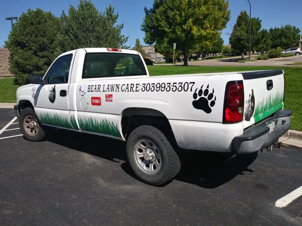 Top-rated yard cleanup service with custom design in Morrison, CO by Bear Lawn Care