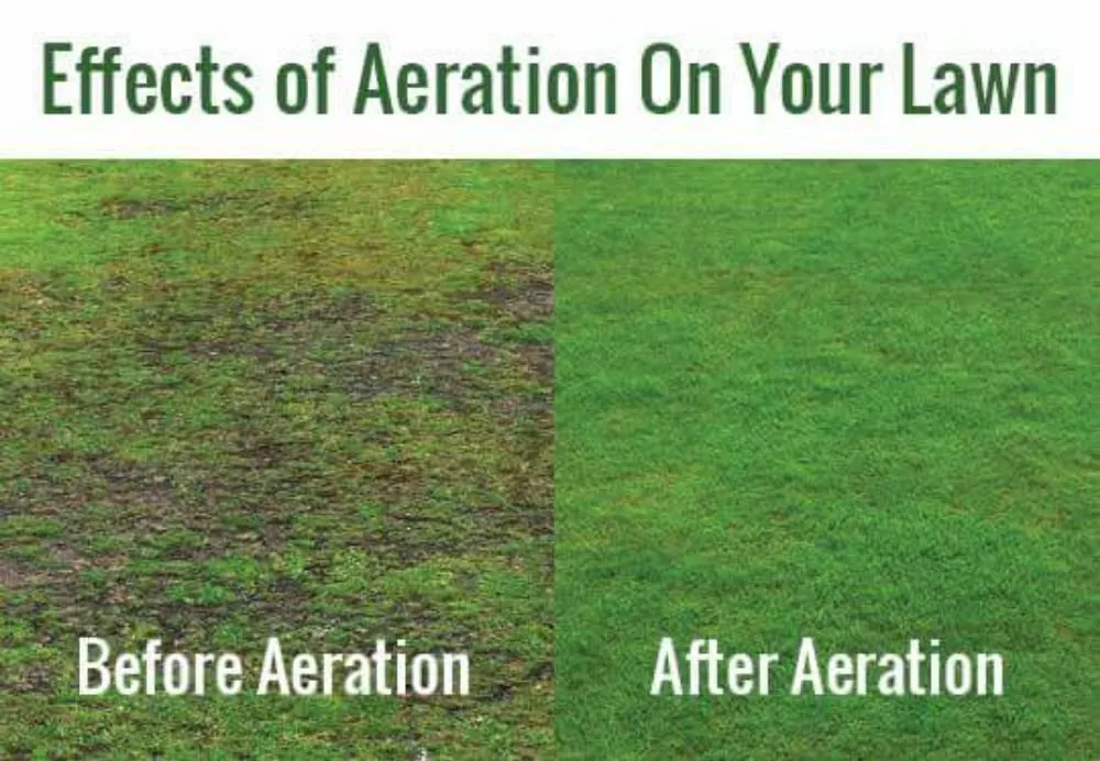 Custom landscape design in Morrison, CO by Bear Lawn Care