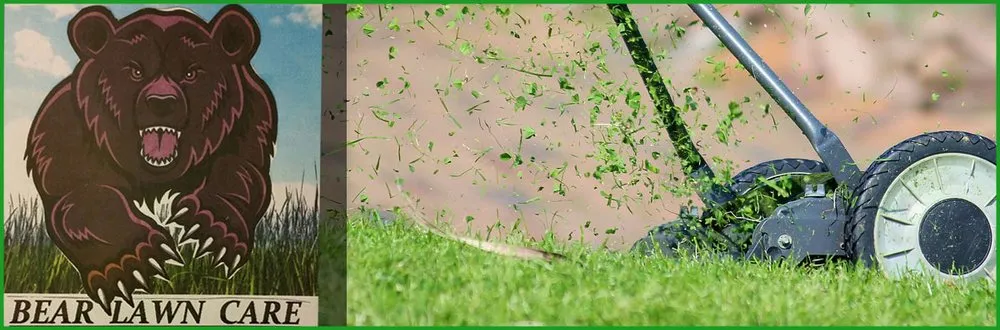 Expert yard maintenance in Morrison, CO by Bear Lawn Care