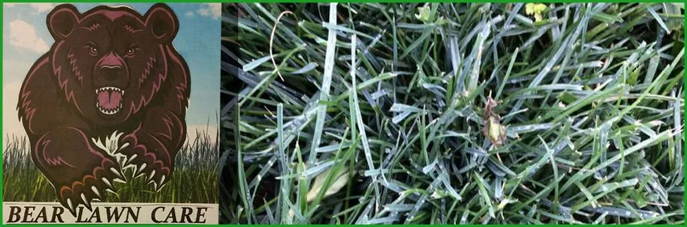 Local garden landscaping in Morrison, CO by Bear Lawn Care