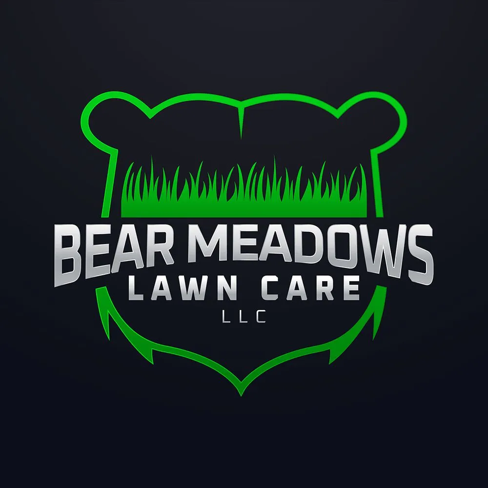 Custom yard cleanup service in Sun Valley, NV by Bear Meadows Lawn Care