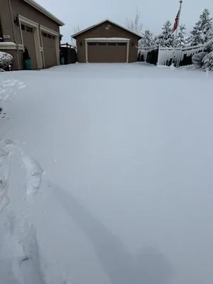 Bear Meadows Lawn Care Logo