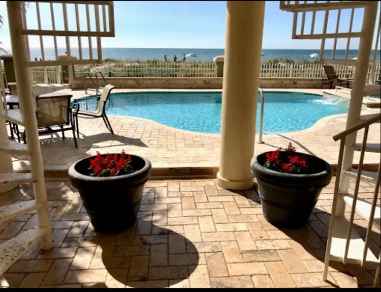 Custom residential landscaping in Saint Petersburg, FL by Bear Paw Landscape Company