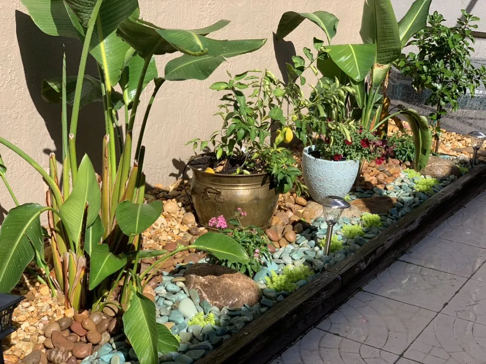 Local garden landscaping experts serving Saint Petersburg, FL - Bear Paw Landscape Company