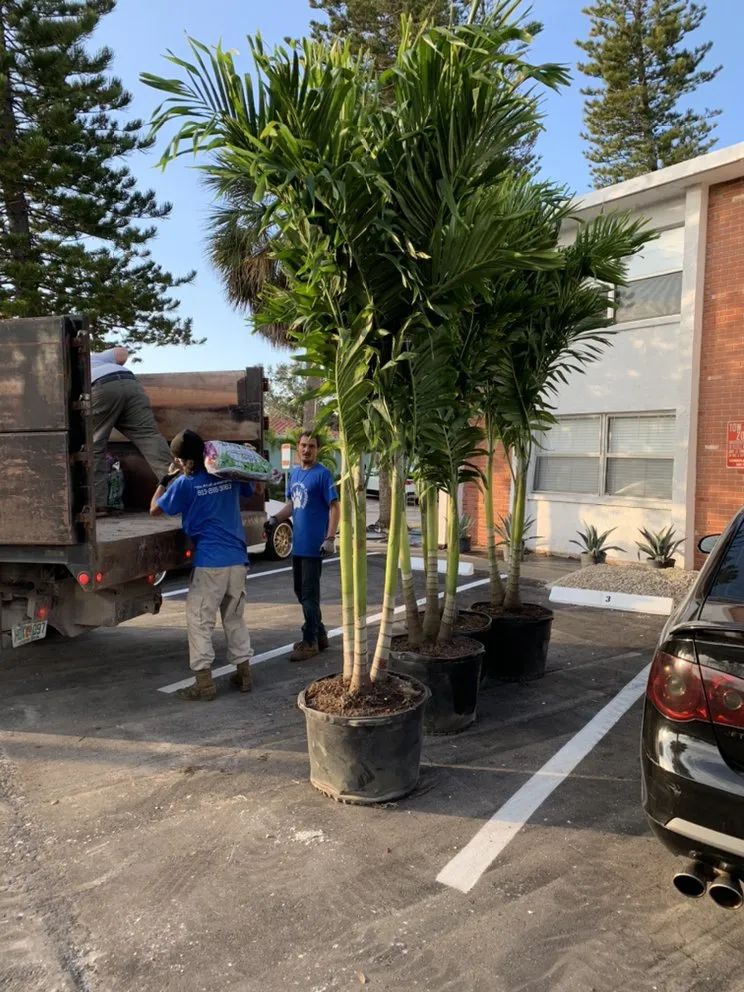 Professional garden landscaping in Saint Petersburg, FL by Bear Paw Landscape Company