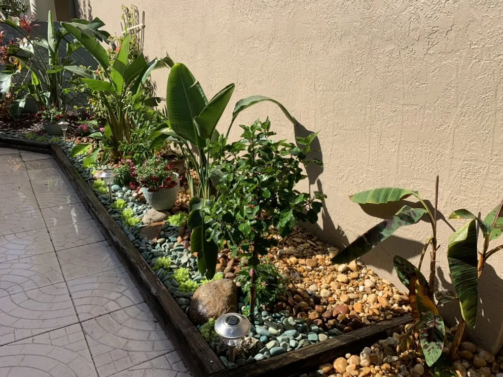 Top-rated yard cleanup service in Saint Petersburg, FL by Bear Paw Landscape Company